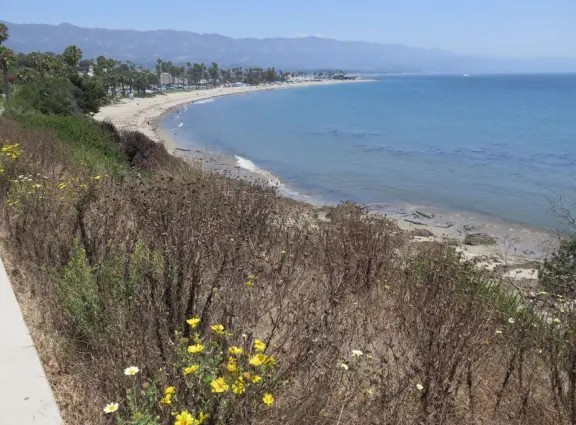 View from the top of the path that runs from Shoreline Park to Leadbetter Beach.