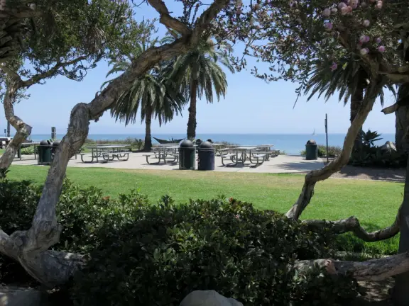 Picnic tables, blue water, twisted trees, and lawn.