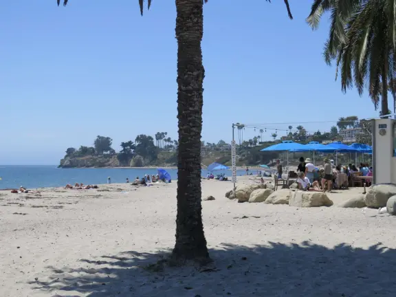 Shoreline Cafe is right on the sand. 