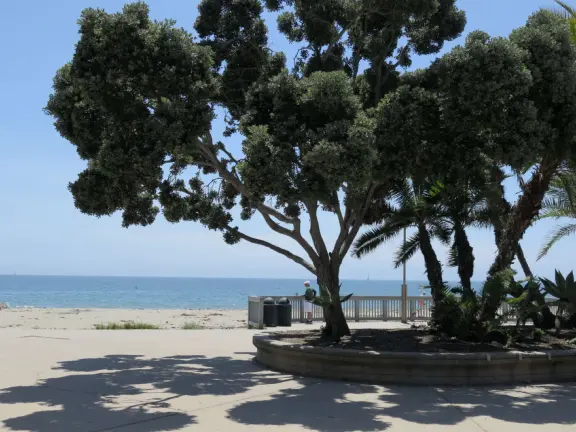 Shady spot to people watch. 