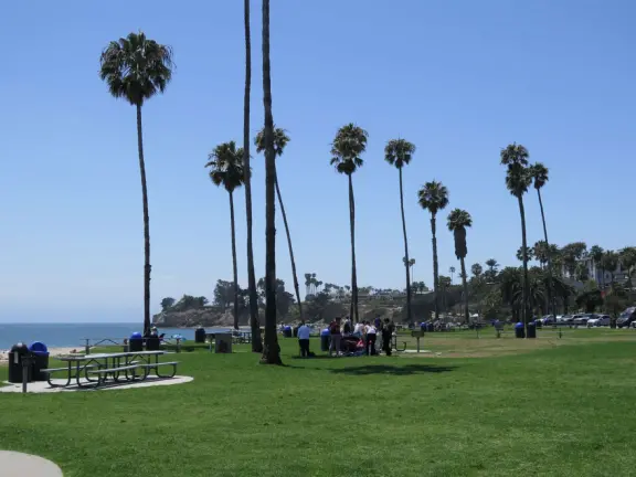Lawn with picnic tables. 