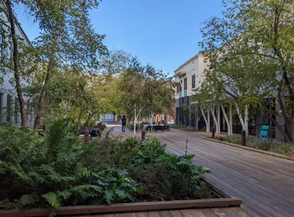 If you know someone who works at Meta, they can bring you to tour the campus!