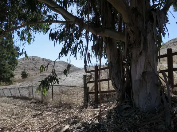 Hilltop park with basketball court with views, picnic tables, eucalyptus trees, and a difficult two-mile out-and-back trail.