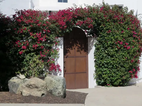 Hilltop park with basketball court with views, picnic tables, eucalyptus trees, and a difficult two-mile out-and-back trail.
