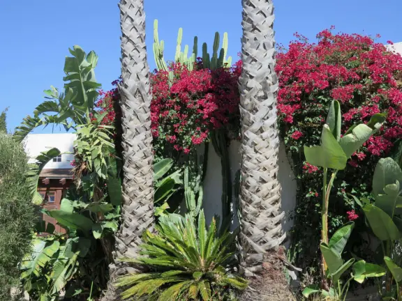 Hilltop park with basketball court with views, picnic tables, eucalyptus trees, and a difficult two-mile out-and-back trail.