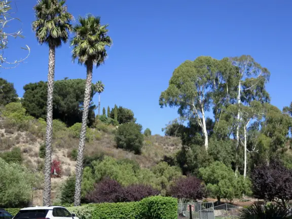 Wide partially shady path that leads through oak forest, past a market, and a Secret Garden with live music, to Avila Beach.