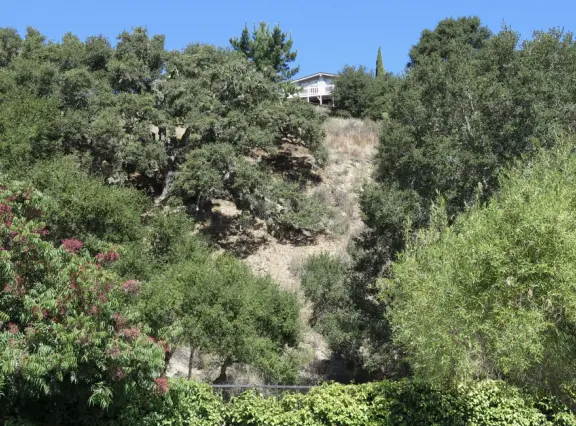 Wide partially shady path that leads through oak forest, past a market, and a Secret Garden with live music, to Avila Beach.