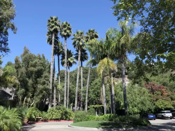 Wide partially shady path that leads through oak forest, past a market, and a Secret Garden with live music, to Avila Beach.