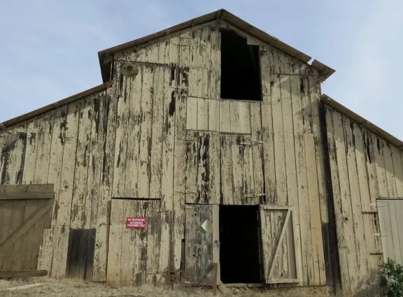 Wonderful wide open spaces with mountains of all shapes and sizes! First mile is shady. Four mile out and back, or five mile lollipop loop hike. Optional detours: architecture creations, or mountaintop swing.