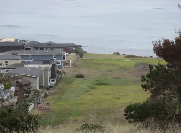 From the Tipton Street entrance, you can walk the upper forest of Fiscalini Ranch, high above the ocean, looking down at the wooden boardwalk way below.