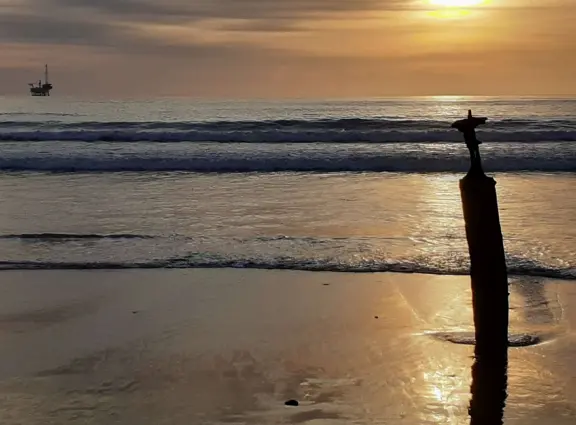 A walk along a clifftop to a popular surfing area with gorgeous sand dunes and exotic plants.