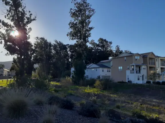 Lovely path beside a eucalyptus forest, on both sides of the creek, with workout stations, in a residential neighborhood. You can walk two miles total. Also called San Luis Ranch.