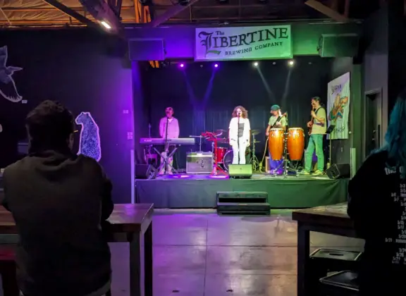 The Hummingbirds playing at Libertine Brewing. 