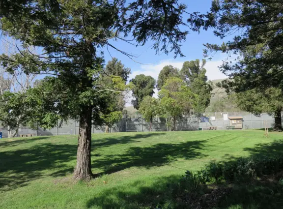 Best playground you'll ever visit! Huge slides, hillside slides, steep grass slope for cardboard sledding, cable zipline, and pretty trees to picnic under.