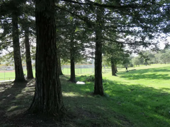 Best playground you'll ever visit! Huge slides, hillside slides, steep grass slope for cardboard sledding, cable zipline, and pretty trees to picnic under.