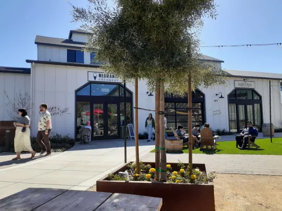 Coffee shop, food court, ice cream and pastry shops, brewery, gift shop and market, outdoor public spaces with fire pit and tables and selfie spots galore, farm with donkeys, goats, and alpaca! Also called San Luis Ranch.