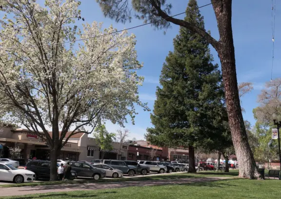 A great walkable downtown with a huge park, amazing playground, and cute stores and cafes.