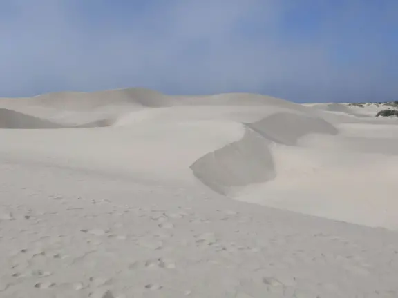 Incredible huge sand dunes, like a national park! Start at the Sandboarding Entry Trailhead.