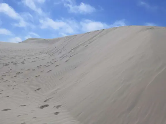 Incredible huge sand dunes, like a national park! Start at the Sandboarding Entry Trailhead.