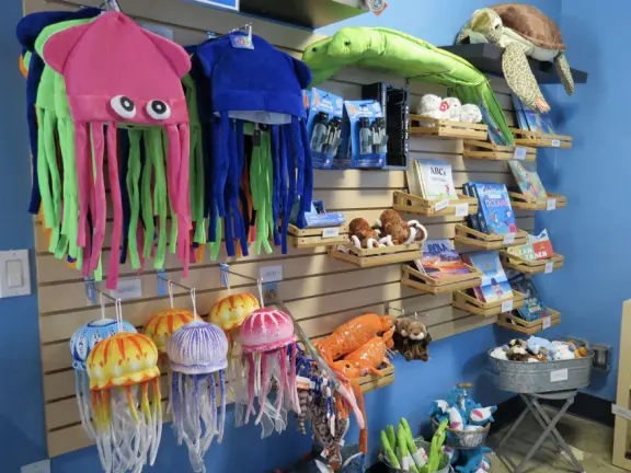 Squid beanies, hanging jellies, turtle stuffies, and books, in the gift shop.