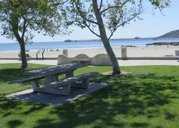 Shaded bench with a view of the beach, at the Avila Beach Playground. 
