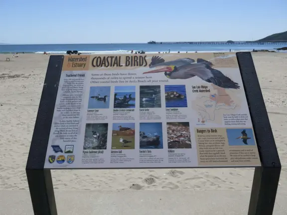Description of coastal birds, at the boardwalk that runs past the Avila Beach Playground.