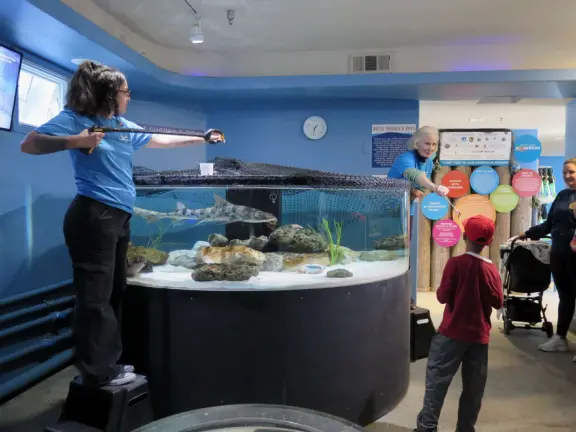 Shark feeding time! The friendly volunteers make it fun for kids. 