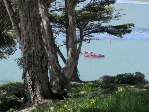 Canoers in Windy Cove. 