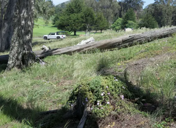 With beautiful views of the bay, and some interesting displays to check out.