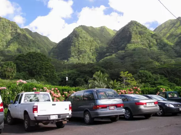 The parking lot at Lyon Arboretum.