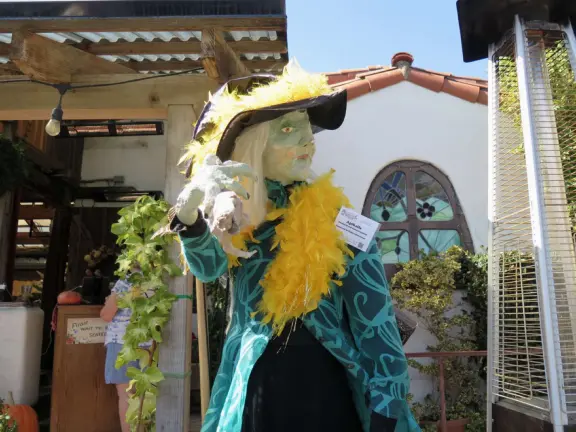 Dozens of scarecrows around Cambria East, Cambria West, Moonstone Drive, and San Simeon! In front of businesses. Very fun!