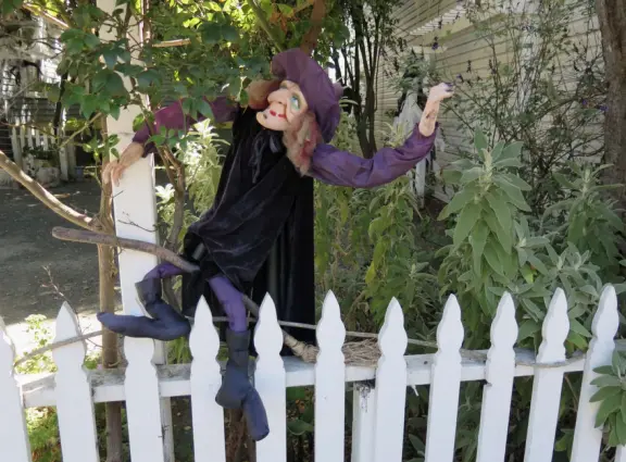 Dozens of scarecrows around Cambria East, Cambria West, Moonstone Drive, and San Simeon! In front of businesses. Very fun!