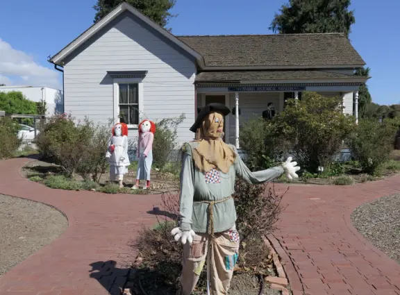 Dozens of scarecrows around Cambria East, Cambria West, Moonstone Drive, and San Simeon! In front of businesses. Very fun!