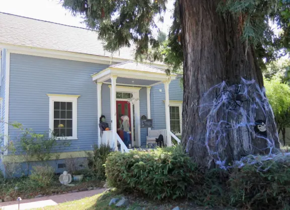 Dozens of scarecrows around Cambria East, Cambria West, Moonstone Drive, and San Simeon! In front of businesses. Very fun!
