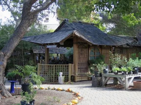 Garden in a sunny, sheltered spot, with cottage with turret under redwood trees, Buddhist gazebo, goats, and flowers galore! Seasonal pumpkins and Christmas market!