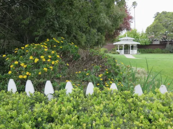Gazebo and daisies beside Heritage House Museum.