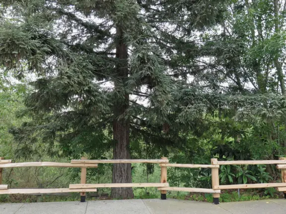 Large lush park with tall tropical trees, attractive bandstand, cute toddler playground, historic house and schoolhouse, swinging bridge to the main street, and neighborhood with cottages.