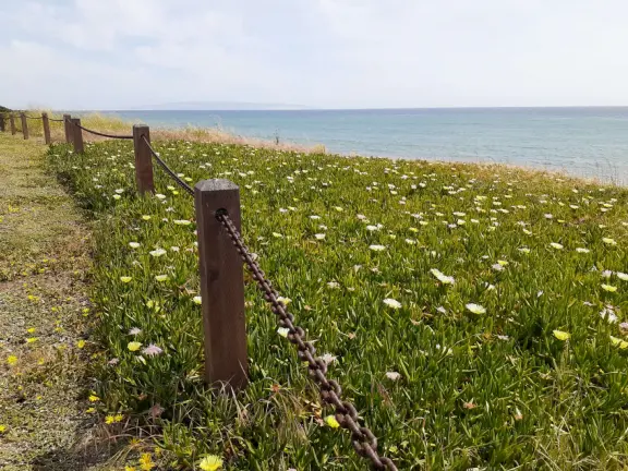 Supremely nice views from many varied vantage points. A clifftop park, beach with tide pools, and start of a long walk.