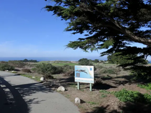 A beautiful, well-cared-for lighthouse with idyllic views of the golf course, dunes, and sea, and a garden with bright flowers.