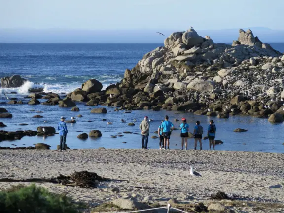 Adorable beach with jutting rocks to climb, water swooshing in, and colorful stones on the shore.