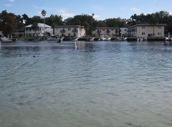 White sand beach on the canals of Crystal River, with a roped swimming section that is wonderful for a dip!