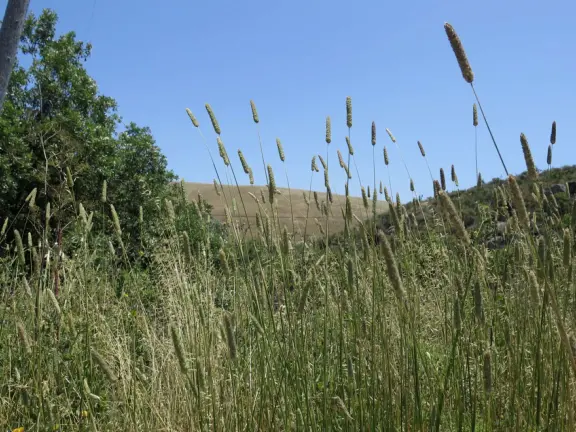 Two mile trail that starts inland, leads over a hill, and ends at a rocky shoreline. High winds funnel into this area.