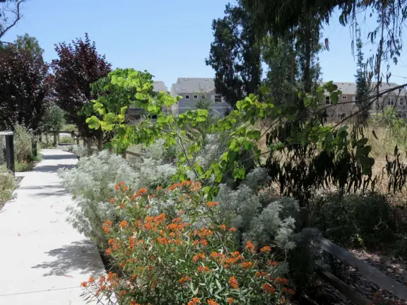 The path behind building 905 is so pretty! I love the colorful plants. 
