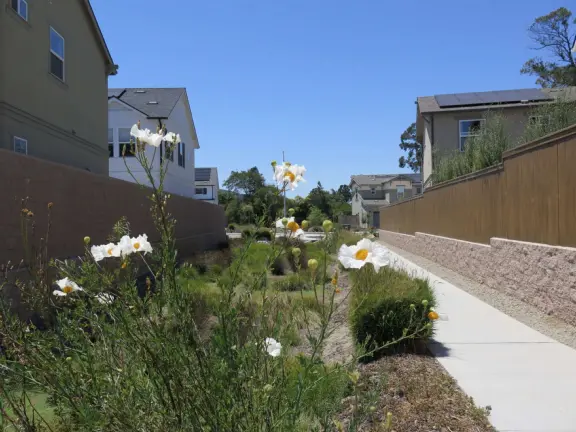 Lovely path beside a eucalyptus forest, on both sides of the creek, with workout stations, in a residential neighborhood. You can walk two miles total. Also called San Luis Ranch.