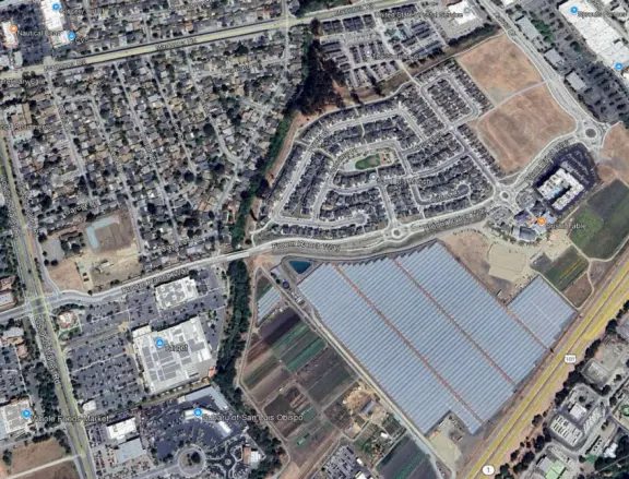 You can walk this entire stretch of trees along the creek, or riparian corridor, from the thick clump of eucalyptus forest in the north to the oaky bike path behind the car dealers in the south. 