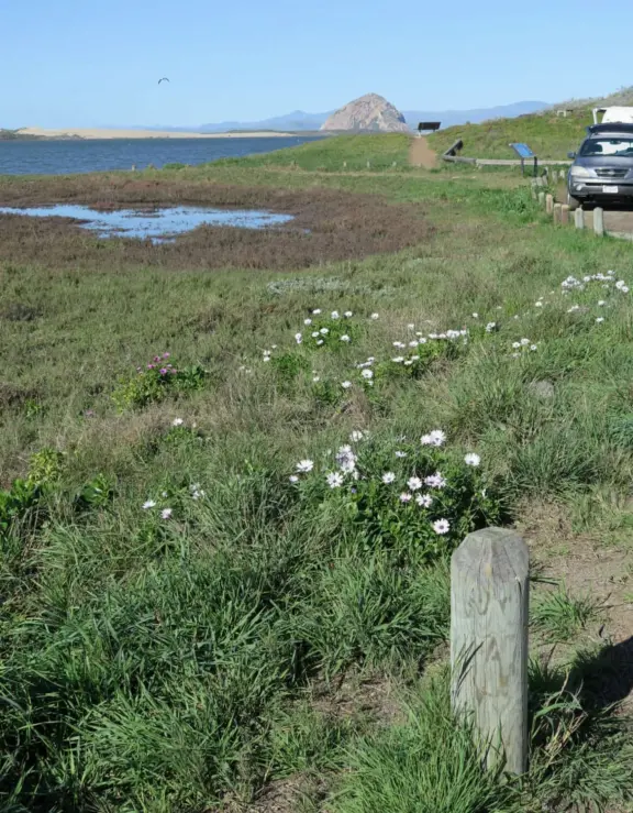 Windy estuary beach (called Baywood Park Beach), bench with views of Morro Rock, and waterfront lookout deck, plus lovely beach houses and views of the mountains.