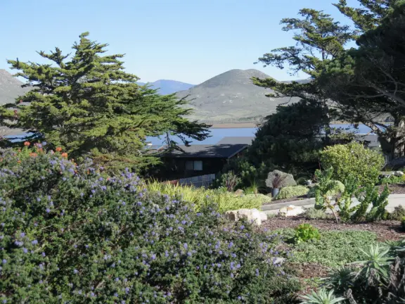 Windy estuary beach (called Baywood Park Beach), bench with views of Morro Rock, and waterfront lookout deck, plus lovely beach houses and views of the mountains.