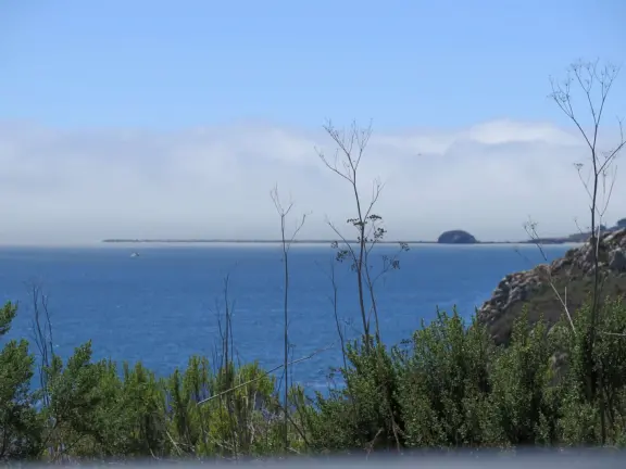 Warm, sheltered cove below Smuggler's Cave. Steep climb down.