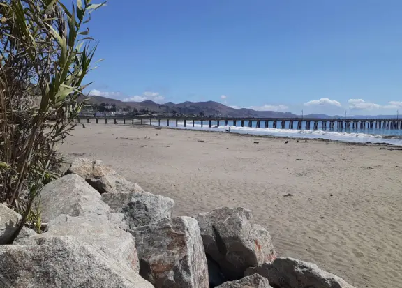 Short walk along Lucerne Street, past two gorgeous views: of Half Seal Cove, and Cayucos Beach.