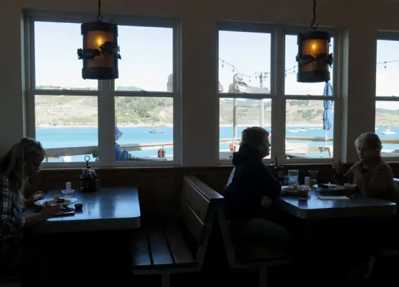 Harbor beach with hundreds of pelicans and sailboats bobbing in the water. Stunning views, seals barking on a floating dock, and outdoor cafe on Harford pier.